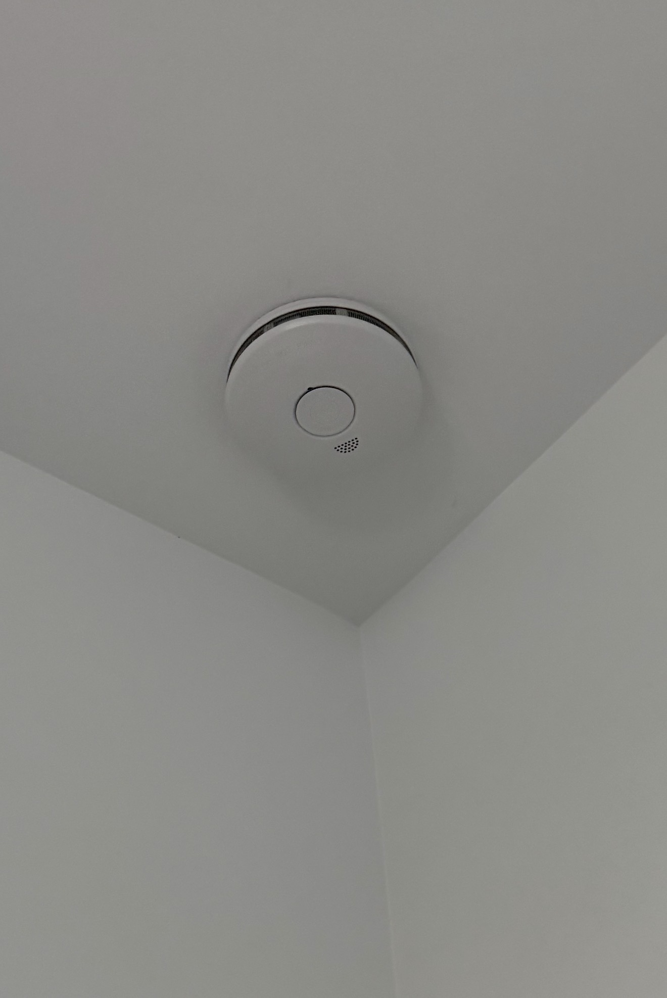Queensland Smoke Alarm Laws - What Sunshine Coast Homeowners Need to Know