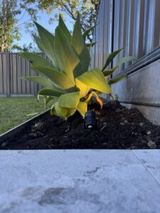 Garden lighting installation Sydney backyard with outdoor LED pathway lights.