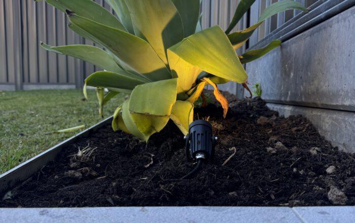 Garden lighting installation Sydney backyard with outdoor LED pathway lights.